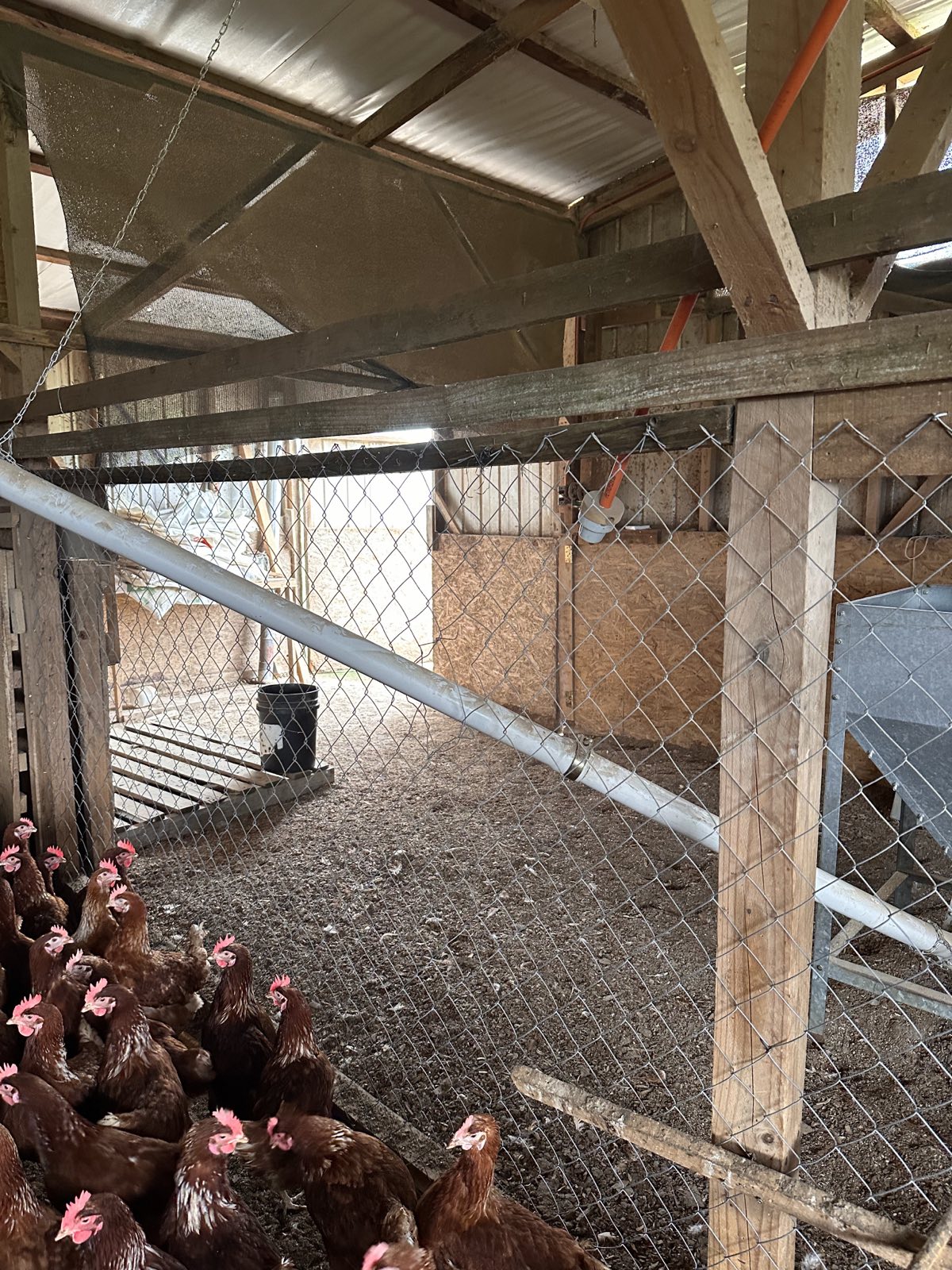 Instalaciones y cercos de un sistema free range