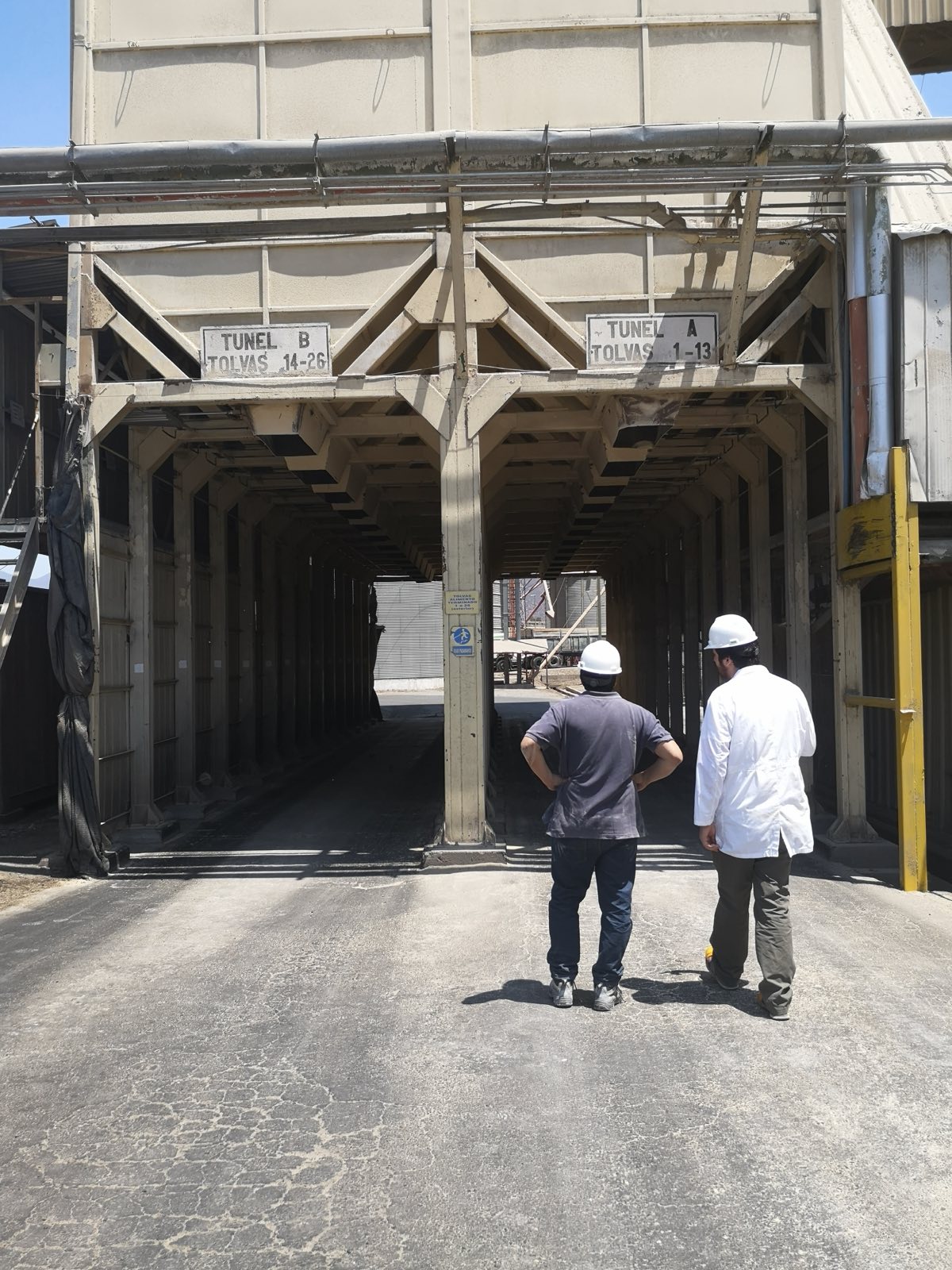 Planta de alimentos y recepción de materias primas